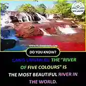 cano cristales